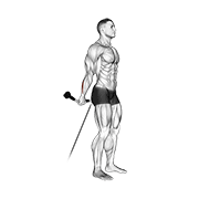 cable standing back wrist curl animation