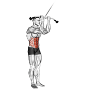 cable standing crunch animation