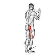 cable standing hip extension animation