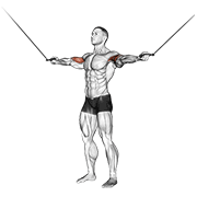 cable standing inner curl animation