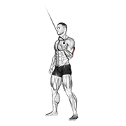cable standing one arm triceps extension animation