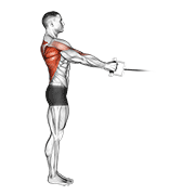 cable standing row (v-bar) animation