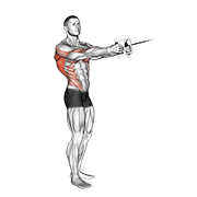 cable standing twist row (v-bar) animation