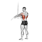 cable straight arm pulldown animation