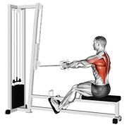 cable straight back seated row animation