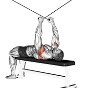 cable supine reverse fly animation