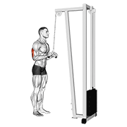 cable triceps pushdown (v-bar) animation