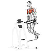 chest dip animation
