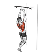 chin-ups (narrow parallel grip) animation