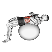crunch (on stability ball) animation