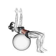 crunch (on stability ball, arms straight) animation