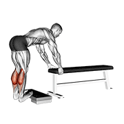 donkey calf raise animation