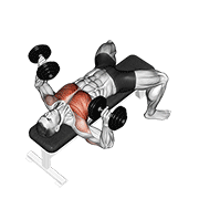 dumbbell bench press animation
