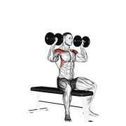 dumbbell bench seated press animation