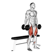 dumbbell bench squat animation