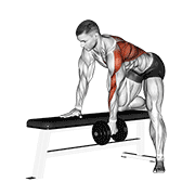 dumbbell one arm bent-over row animation