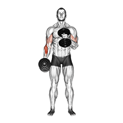 dumbbell cross body hammer curl animation