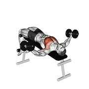 dumbbell decline fly animation