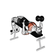 dumbbell decline hammer press animation