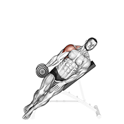 dumbbell incline one arm lateral raise animation