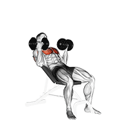 dumbbell incline palm-in press animation