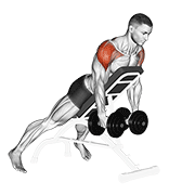 dumbbell incline rear lateral raise animation