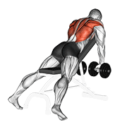 dumbbell incline row animation