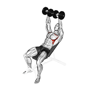 dumbbell incline shoulder raise animation