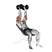 dumbbell incline triceps extension animation