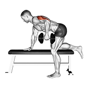 dumbbell kickback animation