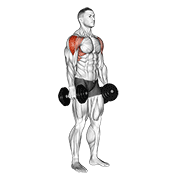 dumbbell lateral raise animation