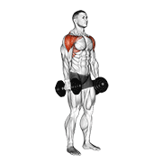 dumbbell lateral to front raise animation