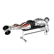 dumbbell lying femoral animation