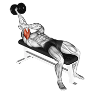 dumbbell lying one arm supinated triceps extension animation