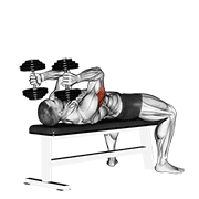 dumbbell lying triceps extension animation