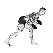 dumbbell one arm kickback animation