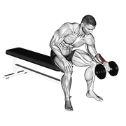 dumbbell one arm reverse wrist curl animation