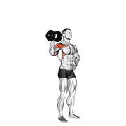 dumbbell one arm shoulder press v. 2 animation
