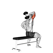 dumbbell one arm triceps extension (on bench) animation