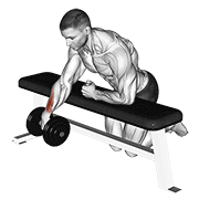 dumbbell over bench one arm wrist curl animation