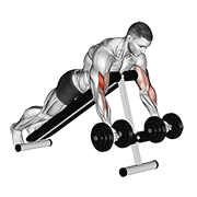 dumbbell prone incline curl animation