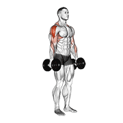 dumbbell raise animation