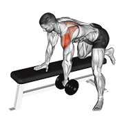 dumbbell rear delt row_shoulder animation