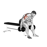 dumbbell rear fly animation