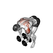 dumbbell rear lateral raise animation