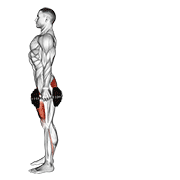 dumbbell rear lunge animation