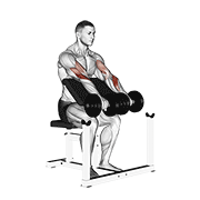 dumbbell reverse preacher curl animation