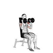 dumbbell seated alternate press animation