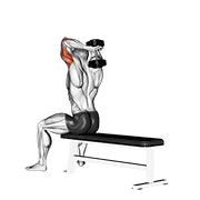dumbbell seated bench extension animation