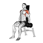 dumbbell seated front raise animation